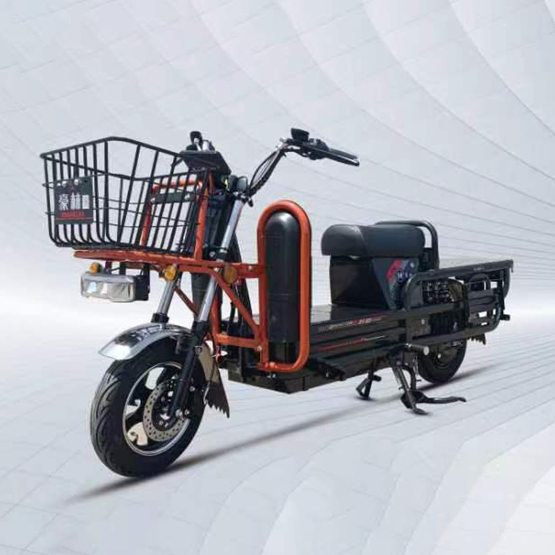 电动自行车 Electric Bicycle HL1000DT-2